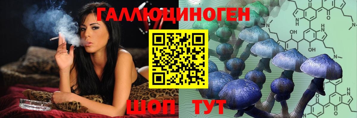 Псилоцибиновые грибы GOLDEN TEACHER  Псилоцибиновые грибы GOLDEN TEACHER  Вход с VPN  Мценск 